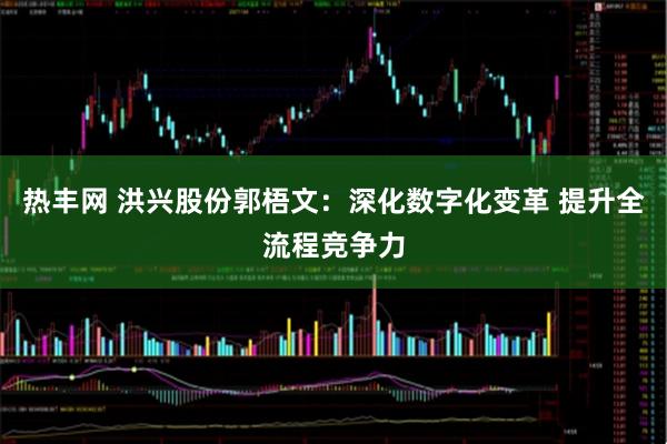 热丰网 洪兴股份郭梧文：深化数字化变革 提升全流程竞争力