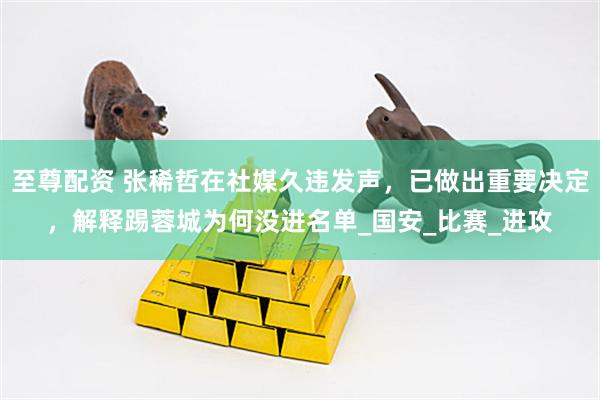 至尊配资 张稀哲在社媒久违发声，已做出重要决定，解释踢蓉城为何没进名单_国安_比赛_进攻