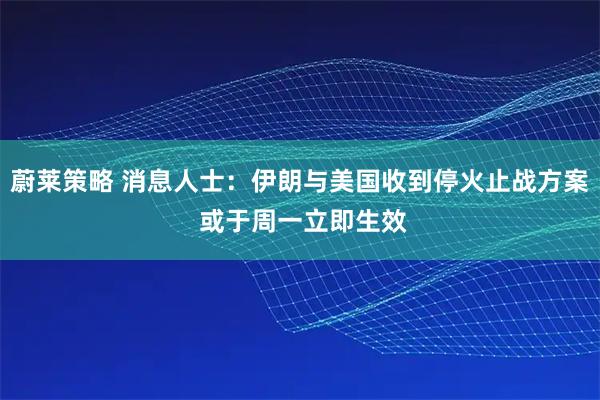 蔚莱策略 消息人士：伊朗与美国收到停火止战方案 或于周一立即生效