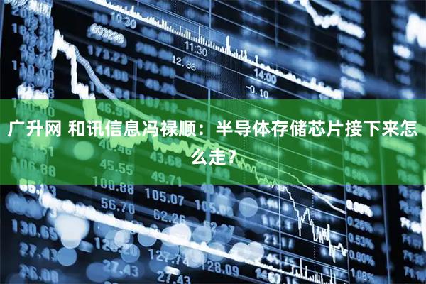 广升网 和讯信息冯禄顺：半导体存储芯片接下来怎么走？